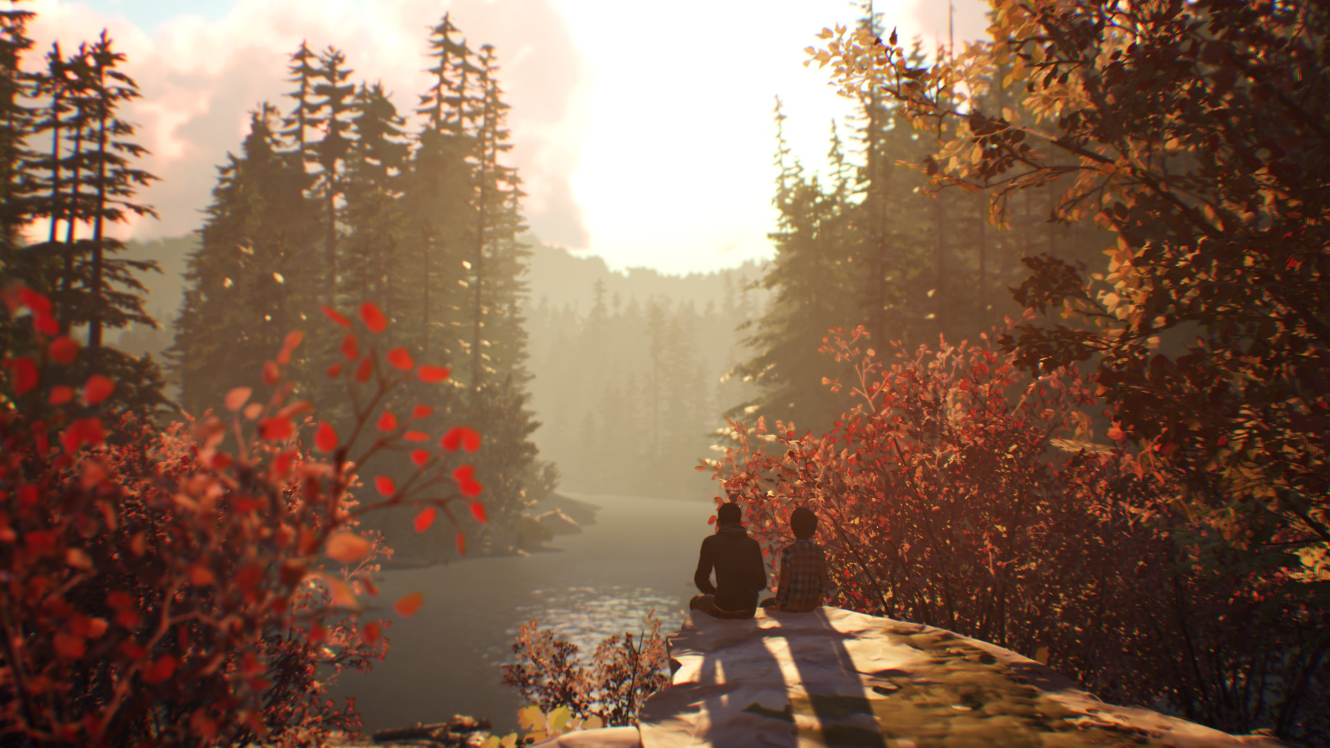 Steam Life Is Strange 2 Arcadia Bay Patches Dlc