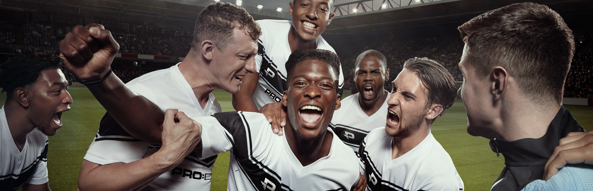 Football Manager 2019 Touch