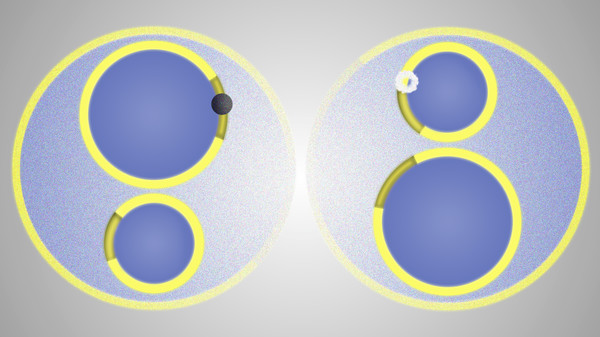 The Basilisk game for Linux 1