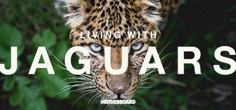 Living with Jaguars VR cover art