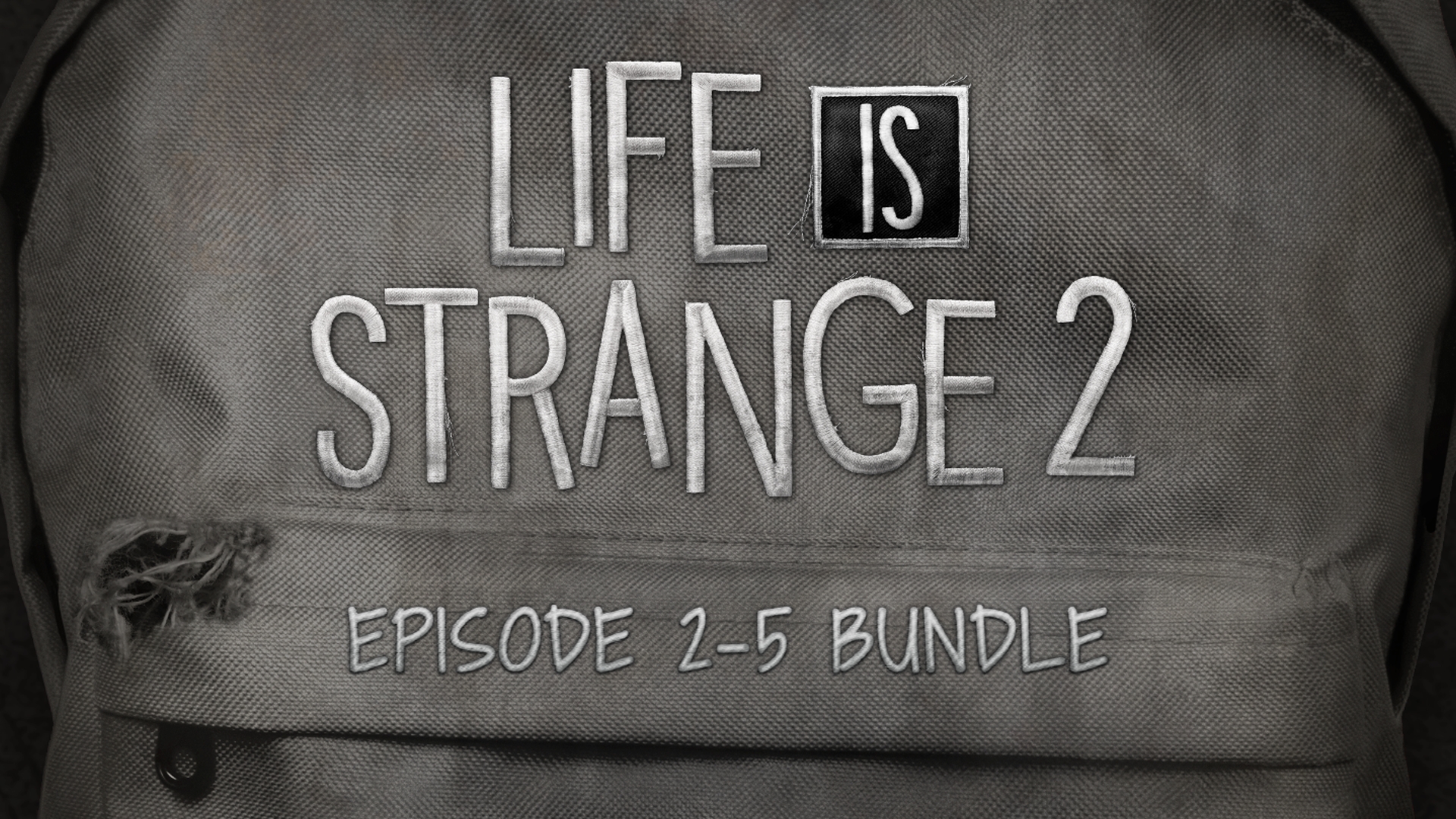 Life is Strange 2 - Episodes 2-5 bundle Resimleri 