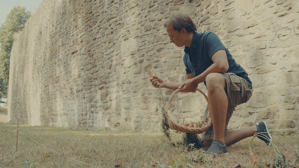 Moral Kingfor windows and Linux 1