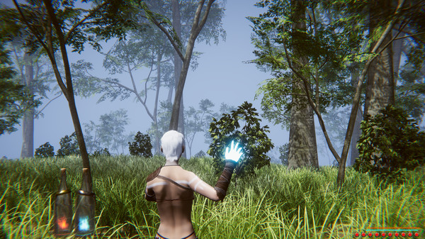 The Psychicfor windows and Linux 1