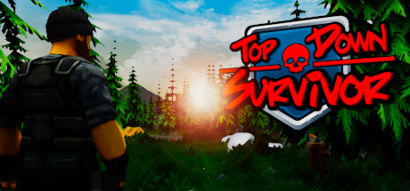Top Down Survivor cover art