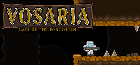 Vosaria: Lair of the Forgotten cover art