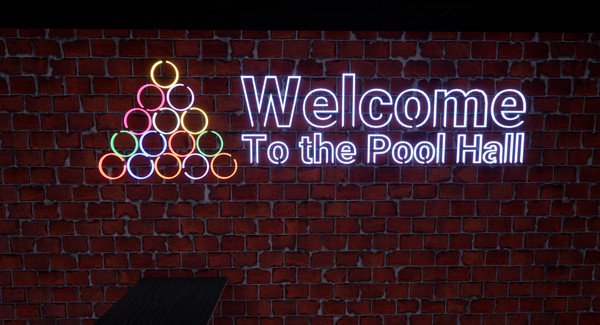 Скриншот из Welcome to the Pool Hall