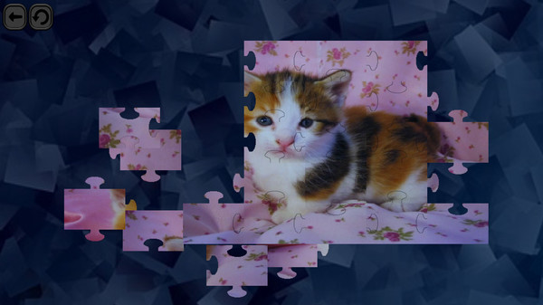 Скриншот из Puzzles for smart: Cats