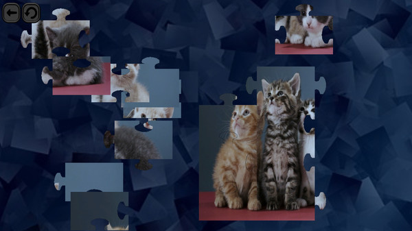 Puzzles for smart: Cats Steam