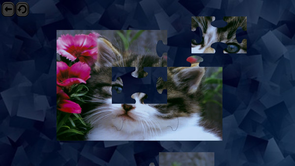 Puzzles for smart: Cats game for windows Pc 1