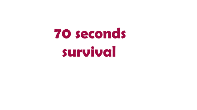70 Seconds Survival Logo