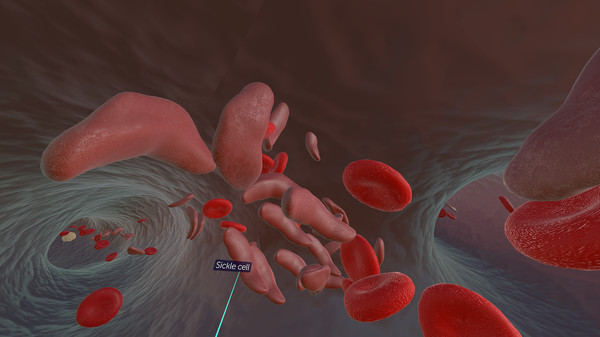 10k game for windows Pc 1