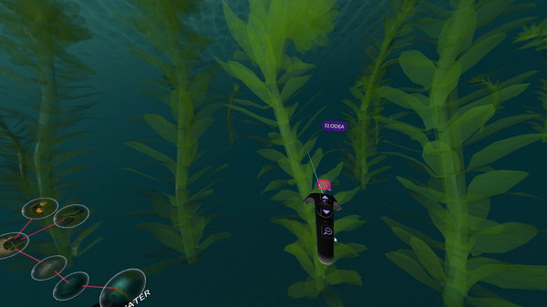 10kfor windows and Linux 1