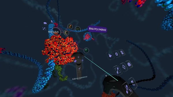 10k game for Linux 1