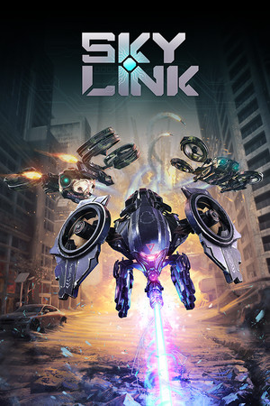 Portada Sky Link