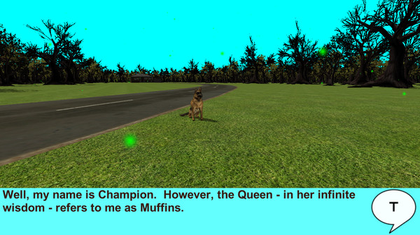Dog's Questfor windows and Linux 1