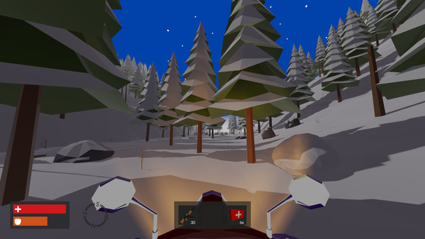 Скриншот из True North