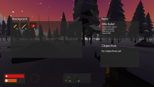 Скриншот из True North