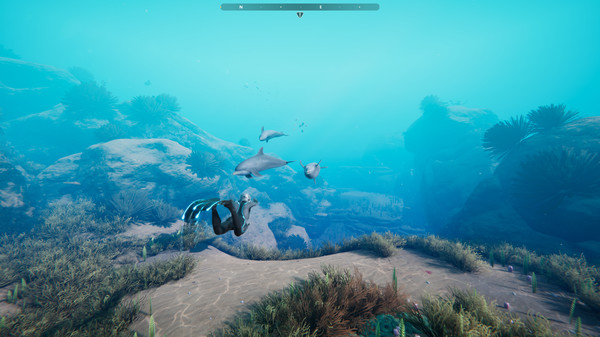 https://steamcdn-a.akamaihd.net/steam/apps/883360/ss_b4a2e55427da0308d1fe989933594ccec3cbcd86.600x338.jpg?t=1593032421