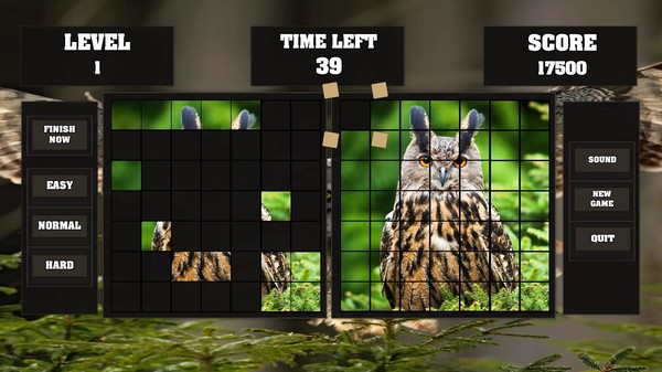 Fitzzle Wise Owls