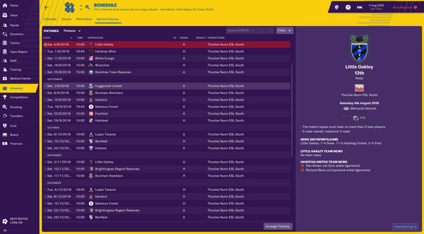 Football Manager 2019: The Hashtag United Challenge-游戏截图
