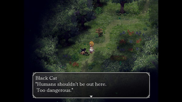 Скриншот из The Witch's House MV Скриншот из The Witch's House MV