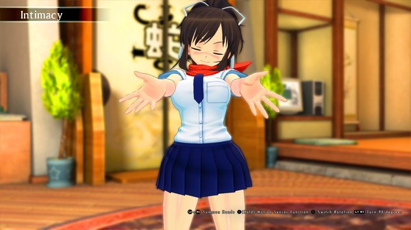 闪乱神乐爆裂:Re:Newal/SENRAN KAGURA Burst Re:Newal