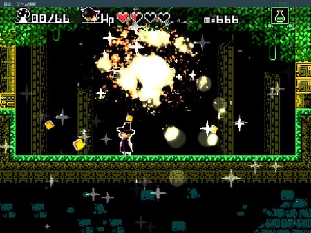 Witch & 66 Mushroomsfor windows and Linux 1