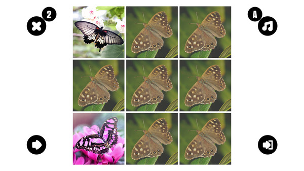 Butterfly couple PC requirements