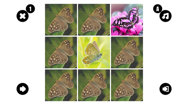 Butterfly couple minimum requirements