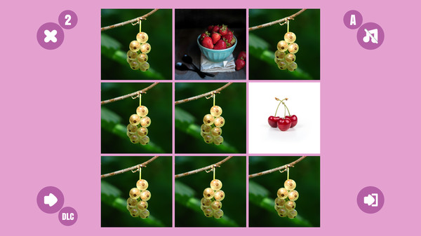 Berry couple