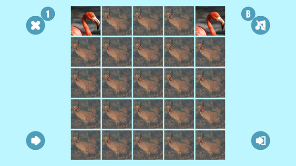 Bird couple PC requirements