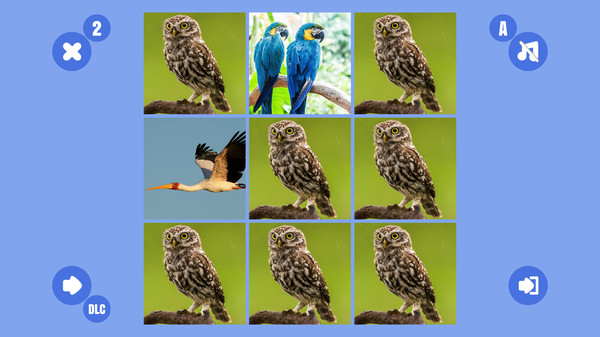 Bird couple
