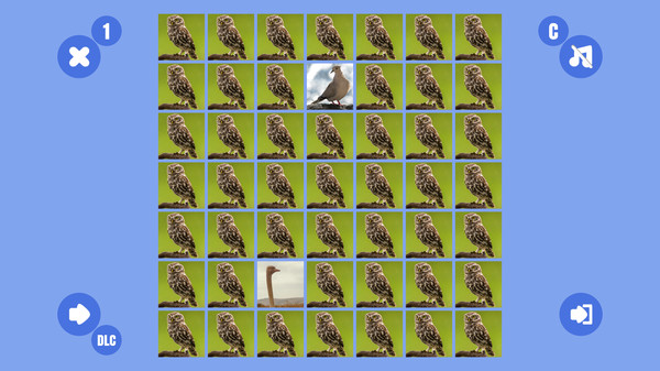Bird couple