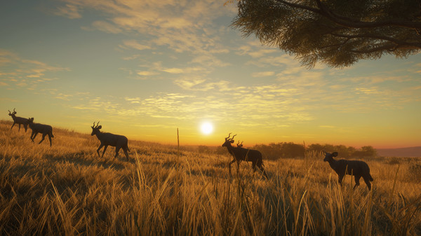 Скриншот из theHunter: Call of the Wild™ - Vurhonga Savanna