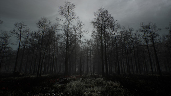 Скриншот из Pendle Hill