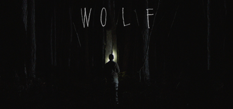 Wolf cover art