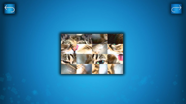 PUZZLE: CATS & DOGS minimum requirements