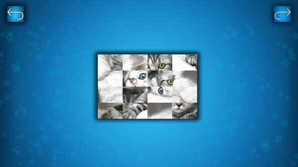 PUZZLE: CATS & DOGS recommended requirements