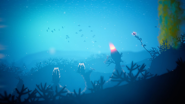 Koral screenshot