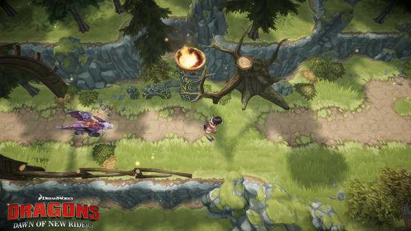 Скриншот из DreamWorks Dragons: Dawn of New Riders