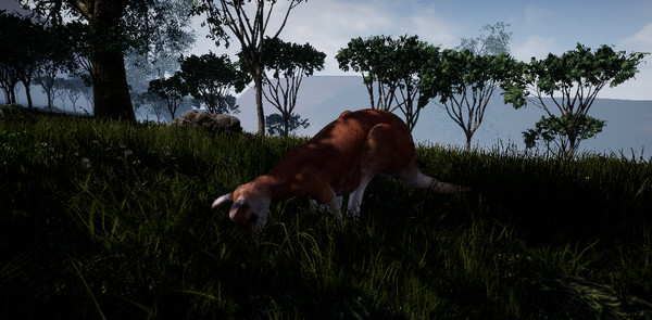 Outback Survival game for windows Pc 1