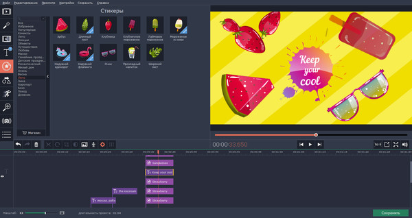 Скриншот из Movavi Video Editor Plus - Seasons Set