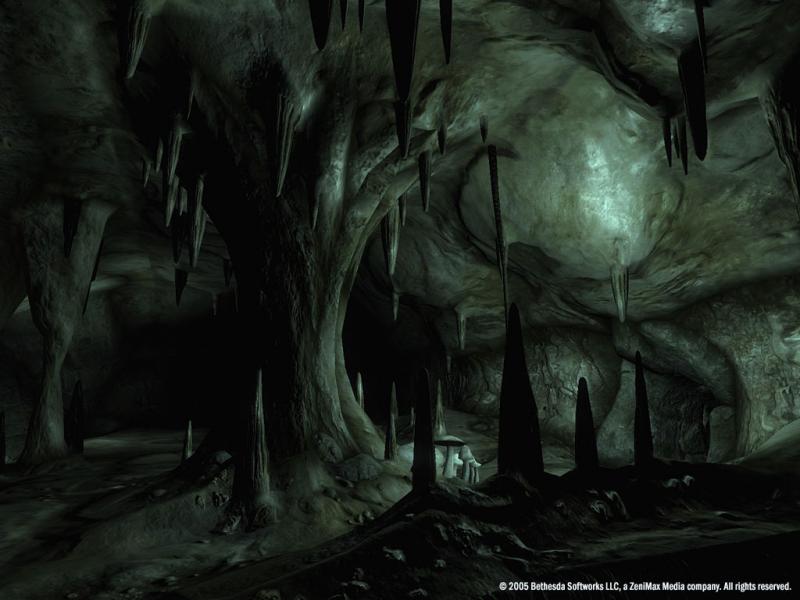 the elder scrolls iv oblivion game of the year edition deluxe