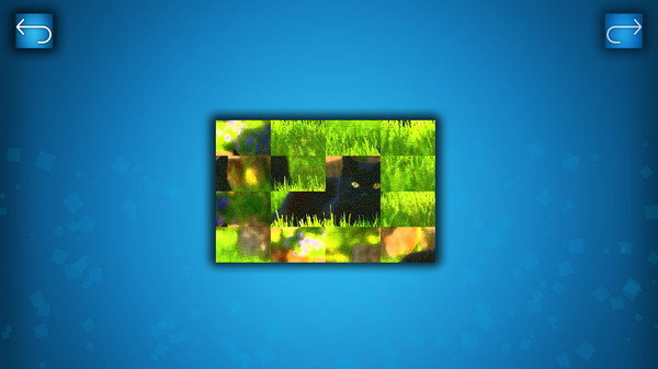 Скриншот из PUZZLE: CATS & DOGS - Puzzle Pack: Summer Cats Скриншот из PUZZLE: CATS & DOGS - Puzzle Pack: Summer Cats
