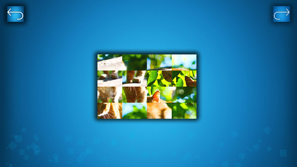 Скриншот из PUZZLE: CATS & DOGS - Puzzle Pack: Summer Cats Скриншот из PUZZLE: CATS & DOGS - Puzzle Pack: Summer Cats