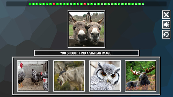 Repeat the image: Animals for linux