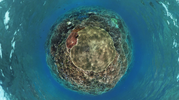 Скриншот из Coral Compass: Fighting Climate Change in Palau