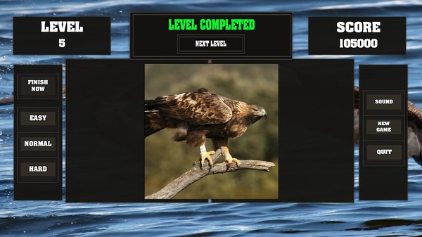 Скриншот из Fitzzle Majestic Eagles