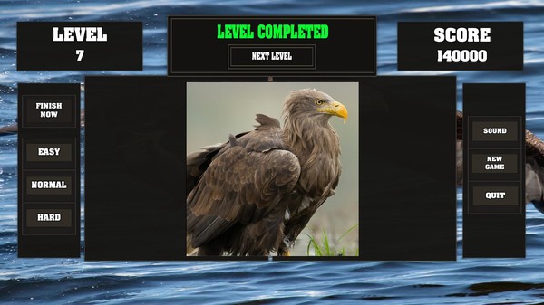 Fitzzle Majestic Eagles recommended requirements