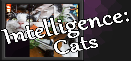 Intelligence: Cats